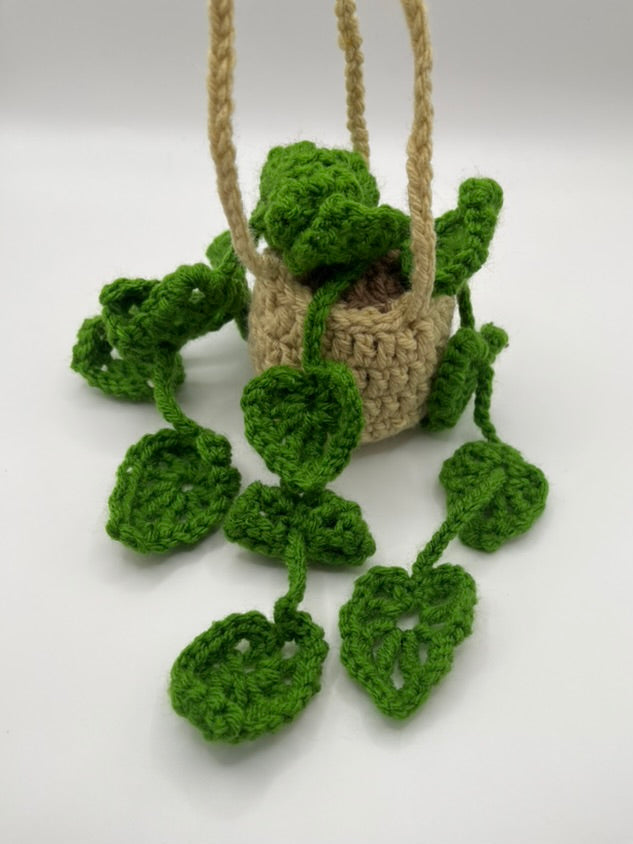 🍃Crochet Hanging Monstera Plant🍃