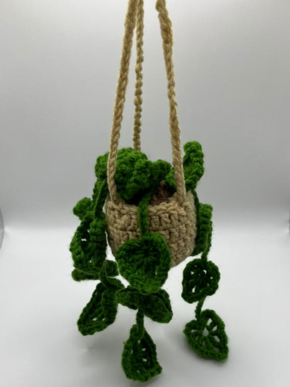 🍃Crochet Hanging Monstera Plant🍃