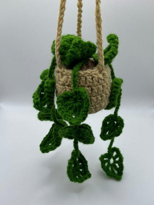 🍃Crochet Hanging Monstera Plant🍃