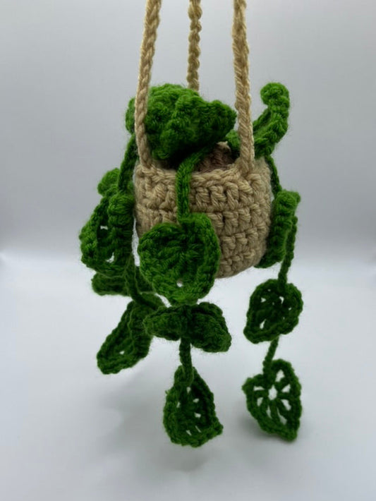 🍃Crochet Hanging Monstera Plant🍃