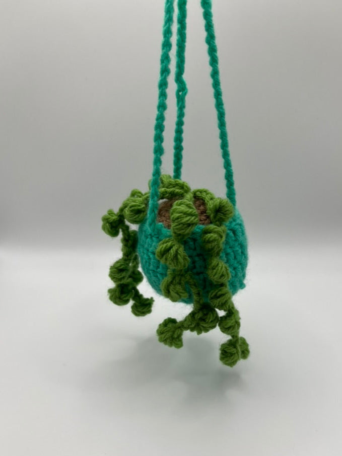 🌱Colorful Hanging Plants 🌱