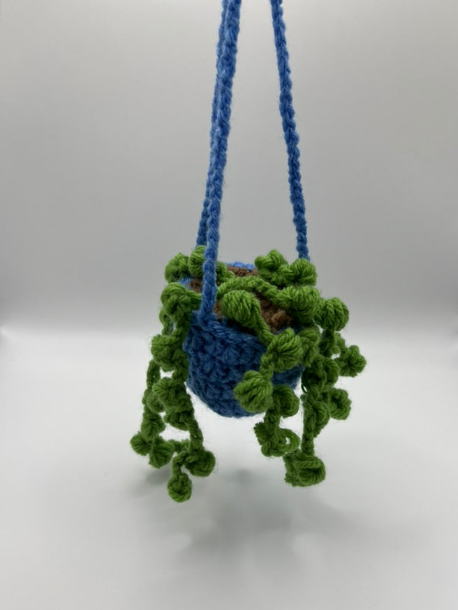 🌱Colorful Hanging Plants 🌱