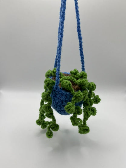 🌱Colorful Hanging Plants 🌱