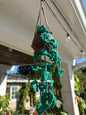 Crochet Hanging Plant🍃