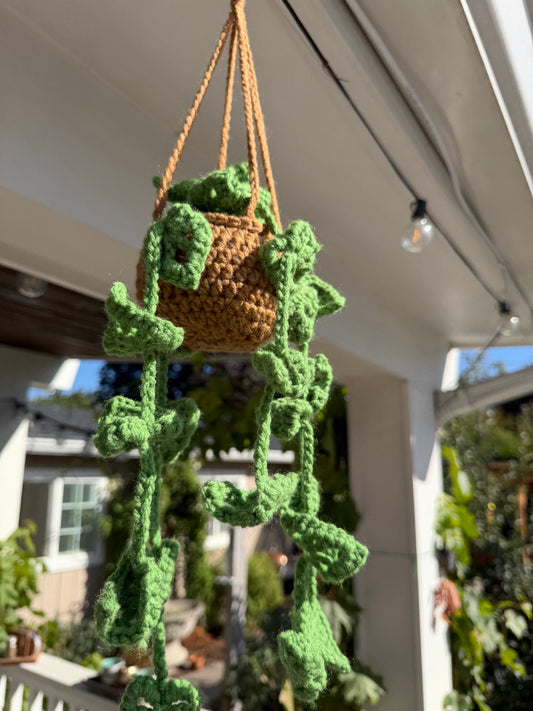 Crochet Hanging Plant🍃