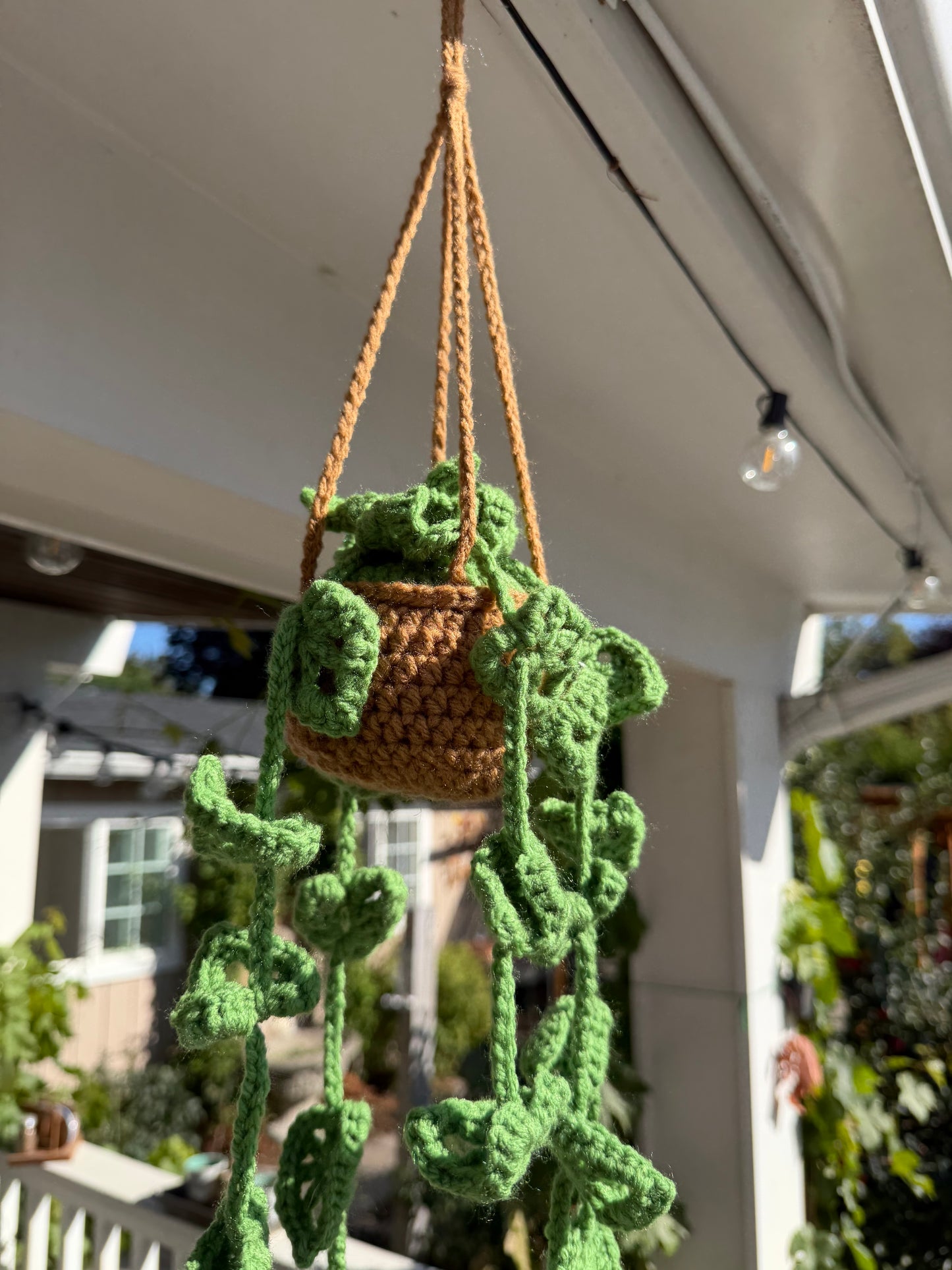 Crochet Hanging Plant🍃