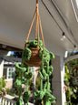Crochet Hanging Plant🍃