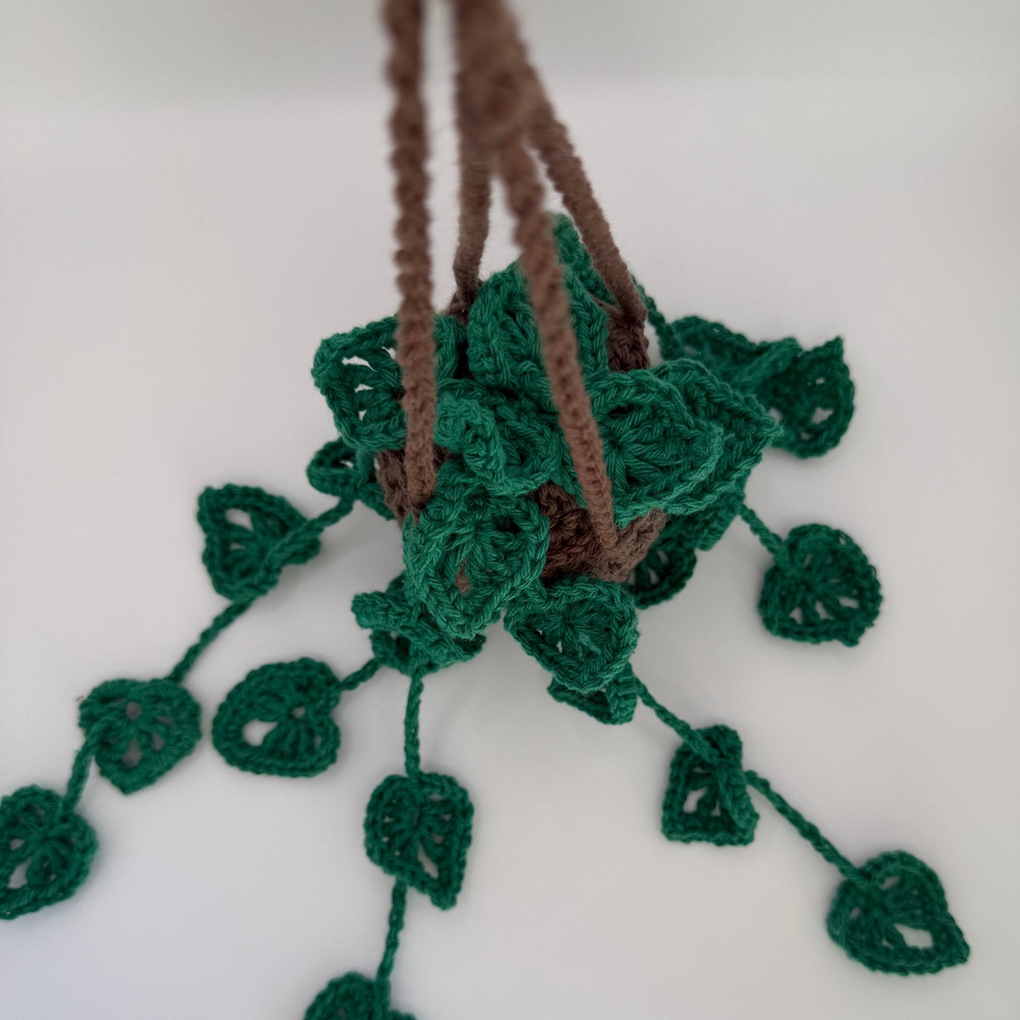 Crochet Hanging Plant🍃
