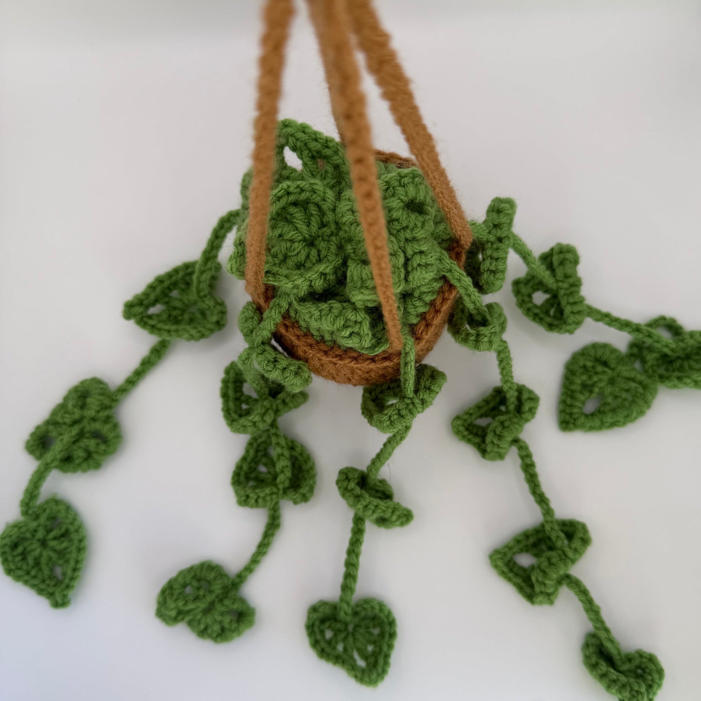 Crochet Hanging Plant🍃