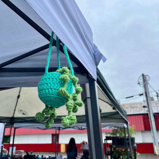 🌱Colorful Hanging Plants 🌱