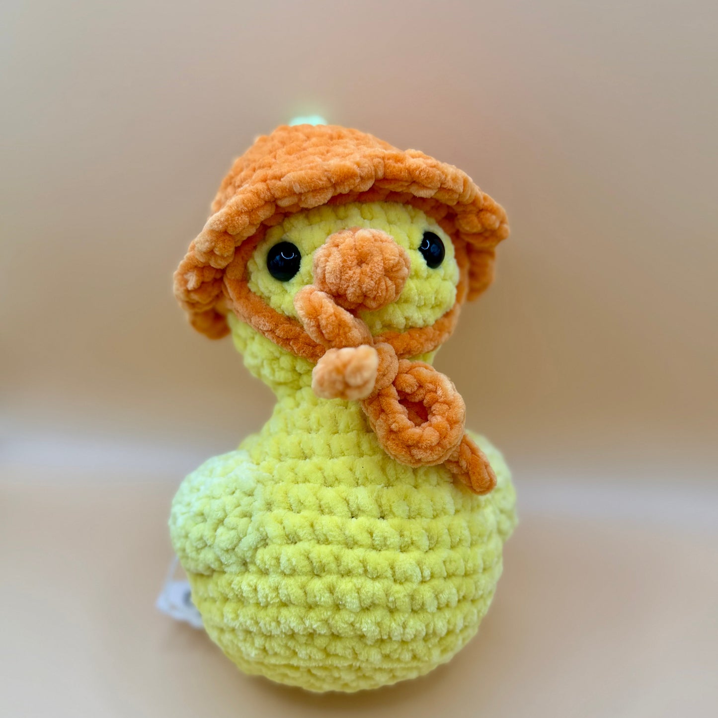 Crochet Duck with Interchangeable Fruit Hats