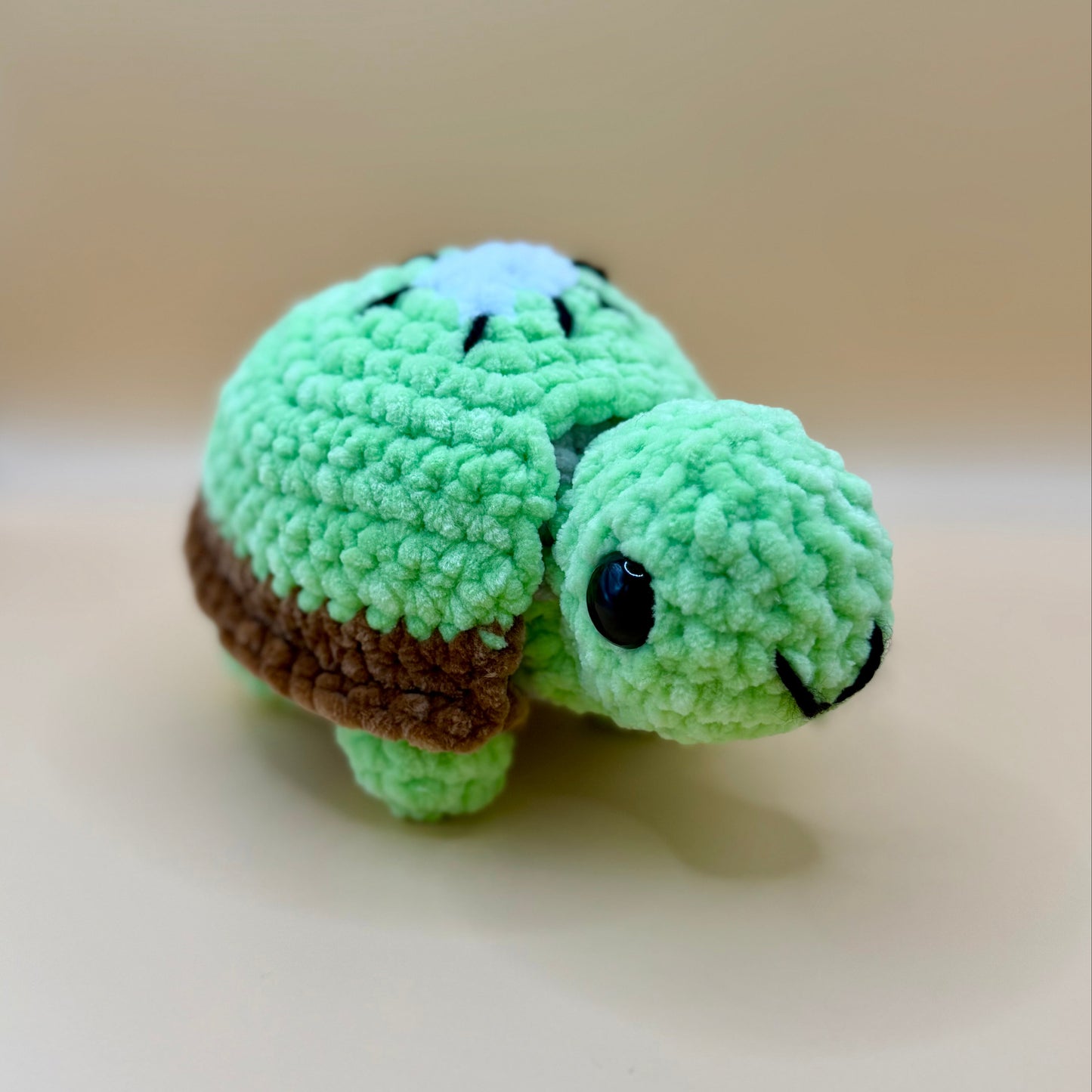 Land Turtles