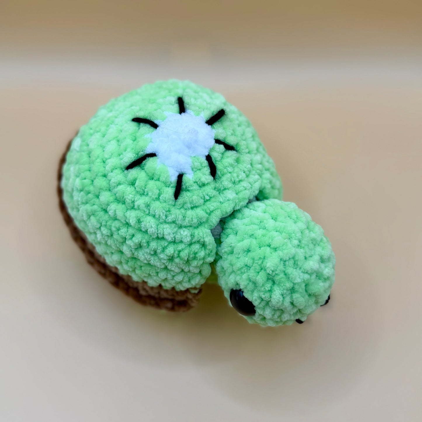 Land Turtles