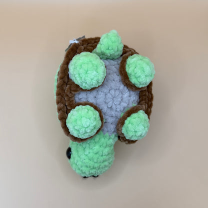 Land Turtles