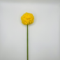 Crochet Chrysanthemum Flower